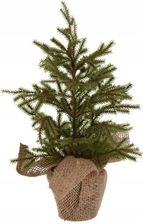Zdjęcie Choinka świąteczna mała w doniczce z jutą 33 cm - Buk
