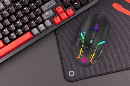 Tracer GAMEZONE ROCKY RF NANO (TRAMYS47430) - zdjęcie 2