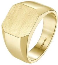 Zdjęcie BROSWAY Ink BIK32D - roz.21 - Pierścionek SYGNET - Skępe