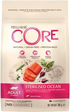 Wellness Core Sterilised Ocean Karma Sucha Dla Dorosłych Kotów Po Sterylizacji Łosoś 300G