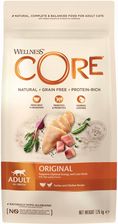 Wellness Core Original Karma Sucha Dla Dorosłych Kotów Indyk I Kurczak 1,75Kg