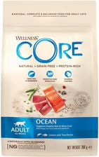Wellness Core Ocean Salmon Karma Sucha Dla Dorosłych Kotów Łosoś I Tuńczyk 300G