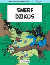 Zdjęcie Smerfy. Smerf dzikus - Dobrzyń nad Wisłą