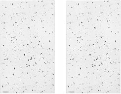 Zdjęcie Typhoon Typ Zestaw 2Podstawek Pod Naczynia Elements Quartz - Buk