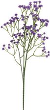 Zdjęcie Goliat Gipsówka Gałązka Kolor Fioletowy 60cm - Trzcianka