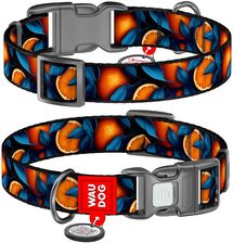 Zdjęcie Waudog Obroża Dla Psa Nylonowa Waudog Wzór Pomarańcze Rozmiar S 25 35cm 15mm - Skawina