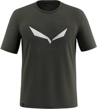 Koszulka męska Salewa SOLIDLOGO DRY zielona 00-0000027018_5286 - zdjęcie 1
