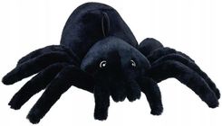 Zdjęcie Beppe Pająk 23Cm - Grodzisk Wielkopolski