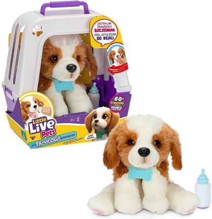 Cobi Little Live Pets 26548 Piesek Z Transporterkiem