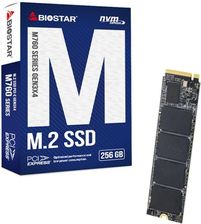Biostar M760 256Gb (M760256GB)