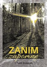 Zdjęcie Zanim zapomnę  - Lubin
