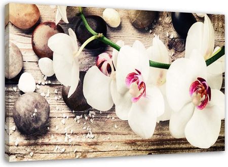 Feeby Obraz Na Płótnie Białe Orchidee Zen 60X40 Cm Fototapeta