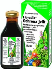 Floradix Ochrona Jelit tonik 250ml - zdjęcie 1