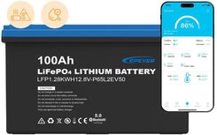 Epever LiFePO4 12.8V 100Ah IP65