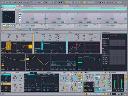 DTM・DAW Ableton Live 11 Suite Ableton Live 11 Suite EDU (DIGI) - oprogramowanie DAW do