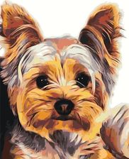 Zdjęcie Titanum Malowanie Po Numerach 30X40Cm York - Ożarów Mazowiecki