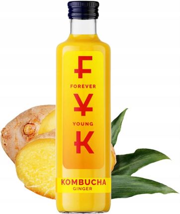 FYK Kombucha Ginger 0,25l - zdjęcie 2