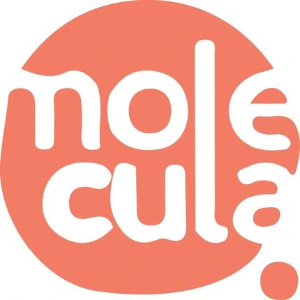 Molecula Syrop Do Bubble Tea 2.5kg Koncentrat Sok Mango - zdjęcie 4
