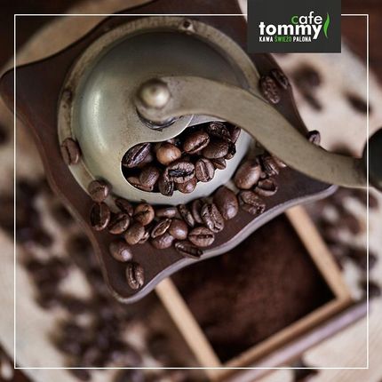 Tommy Cafe Ziarnista 1kg 100% Arabica Świeżo Palona Etiopia Djimmah Gr.5 - zdjęcie 2