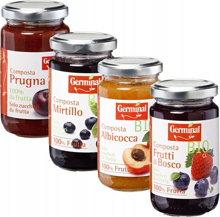 Germinal Organiczny Mus Z Owoców Leśnych Bio 200g Ekologiczny - zdjęcie 3