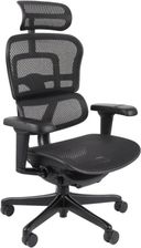 Fotel ergonomiczny Ergohuman 2 Ultra BS Black, biurowy, obracany, na kółkach, do biura