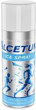 Panawit Alcetum Ice Spray 400ml