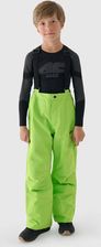 Zdjęcie Spodnie Narciarskie 4F 4Fjwaw24Tftrm654-41S-158 - Wiązów