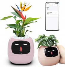 Inteligentna Doniczka Ivy Smart Planter Osłonka Na Donicę Plantsio Różowa