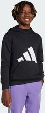Zdjęcie adidas Bluza Z Kapturem Essentials Kids Białe - Wąbrzeźno