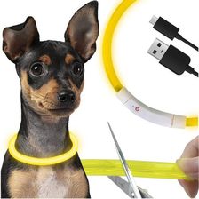 Zdjęcie Obroża Dla Psa Świecąca Led Kota Usb Regulowana 70 Cm Ładowana Z Regulacją Purlov - Wadowice