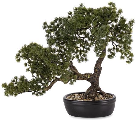 Bonsai drzewko - ceny, opinie, sklepy - www.taniomania.pl