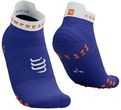 Skarpety biegowe Compressport Pro Racing Socks v4.0 Run Low - dazz blue/white