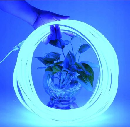 NEON FLEX LED 230V NIEBIESKI JEDNOSTRONNY TAŚMA LED NA METRY