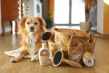Magic Brush Fur Comb Grzebień Dwustronny Do Czesania Psa Kota Złoty - zdjęcie 2