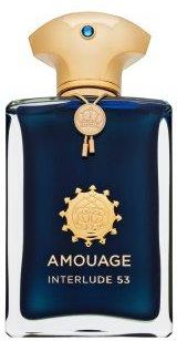 AMOUAGE INTERLUDE 53 メンズ 香水 EDP 100ml Amouage Interlude 53 czyste perfumy 100 ml - Opinie i ceny