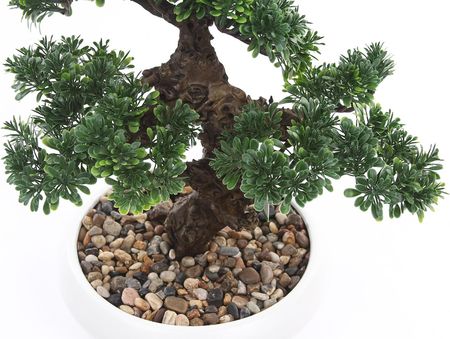 Klasyczne Drzewko Bonsai Fikus 37 Japoski Sztuczne W Ceramicznej Donicy -  Opinie i atrakcyjne ceny na Ceneo.pl