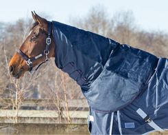 Zdjęcie Wodoodporna Derka Dla Koni Qhp 200g - Serock