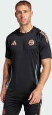 Zdjęcie Koszulka Fc Bayern Tiro 24 Training - Katowice