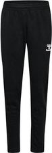 Zdjęcie hummel Dziecięce spodnie dresowe Hmlauthentic Co Training Pants Kids - Rejowiec Fabryczny