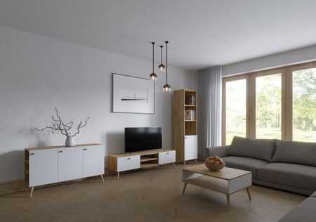 SZAFKA RTV KOMODA styl SKANDYNAWSKI Dąb Craft/Biel 160 cm - zdjęcie 2