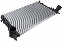 Zdjęcie Nty Intercooler Seat Alhambra 710 10- 1.4 Tsi, - Zielonka