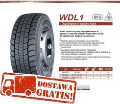 Westlake WDL1 295/60R22.5 150/147K