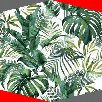 philodendron bronze Philodendron florida bronze – Greenspaces.id main image 0
