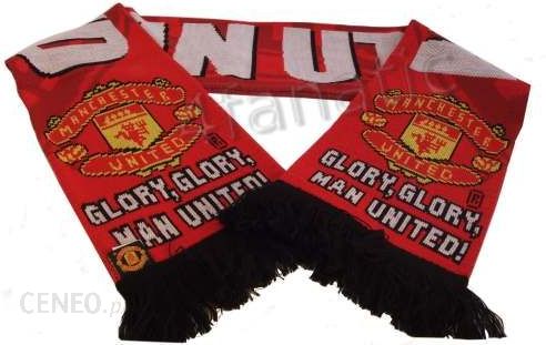 download manchester united glory