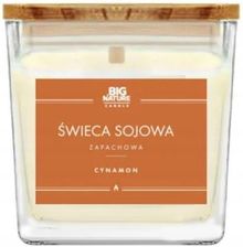 Zdjęcie Big Nature Świeca Sojowa Zapachowa Cynamon 205 G (5905745620146) - Skarżysko-Kamienna