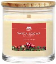 Zdjęcie Świeca Sojowa Zapachowa Zapach Świąt Big Nature 150G - Wolbrom