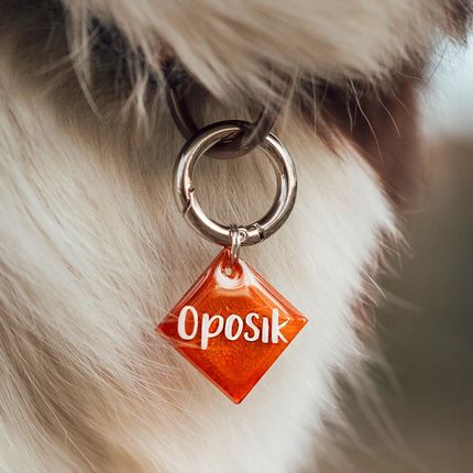 Adresówka Dla Psa Z Żywicy Złote Elementy Zawiera Karabińczyk