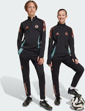 Zdjęcie Spodnie FC Bayern Tiro 24 Training Kids - Zelów