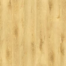 Zdjęcie Vin In Jesion Aaron R'N'B VININAARON - Prusice