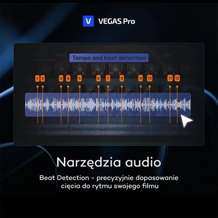 VEGAS Pro Suite 365 (12 miesięcy) - zdjęcie 5